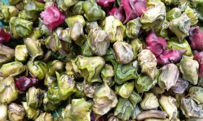 পানিফল। ছবি: সংগৃহীত