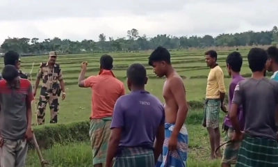 পাগলকে পুশইনে বাধা, ৬ গরু নিয়ে গেল বিএসএফ