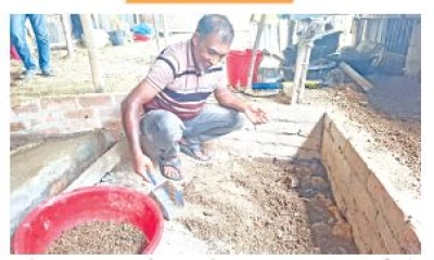 ‘পোকা চাষি হাবিব’ এখন  গ্রামের অনুপ্রেরণাপুরো