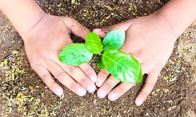 আজ বিশ্ব পরিবেশ দিবস
