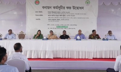 পূর্বাচলে ডিএনসিসির বনায়ন কর্মসূচির উদ্বোধন