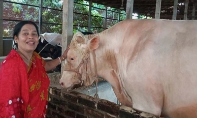 ১৫ লাখের ‘সাদা পাহাড়’ দেখতে ছুটে আসছে জনতা