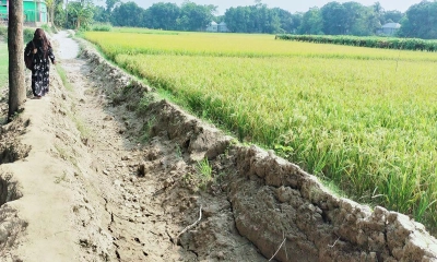 রাস্তার জন্য বিয়ে হচ্ছে না যে গ্রামের মেয়েদের