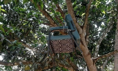রাজশাহীতে প্রধান শিক্ষকের কক্ষে তালা, গাছে ঝুলছে চেয়ার