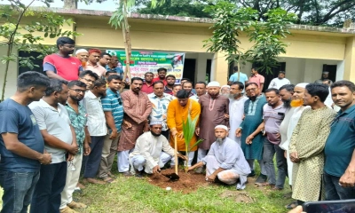 জোবাইদা রহমানের জন্মদিনে বিএনপির বৃক্ষরোপণ