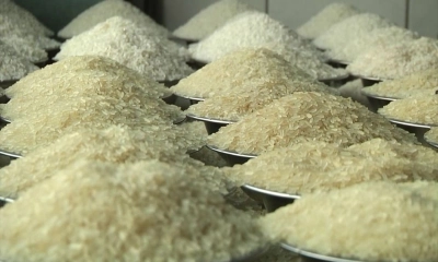 আন্তর্জাতিক চালের বাজারে আসছে বড় পরিবর্তন