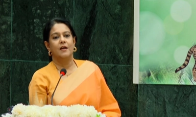 ডিসেম্বর থেকে জুনের মধ্যে নির্বাচন: রিজওয়ানা