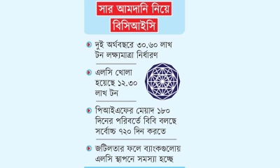 সাড়ে ১৭ হাজার কোটি টাকা ঋণের মেয়াদ বৃদ্ধি চায় বিসিআইস