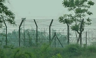 ঠাকুরগাঁও সীমান্তে বিএসএফের হাতে এক বাংলাদেশি আটক