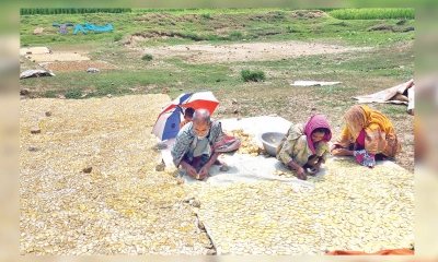 চিপস তৈরি করে স্বাবলম্বী যে গ্রাম