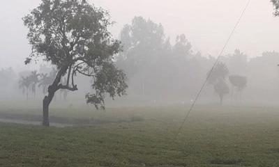 শীত শেষ, দেশের এক জেলায় এখনো শীতের আভাস