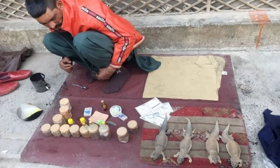 সান্ডার তেল কী সত্যি যৌন দুর্বলতা দূর করে?