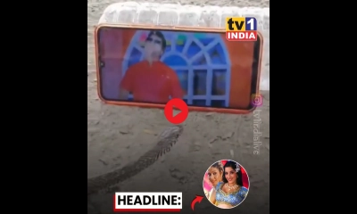 ভোজপুরি গানের ভিডিও দেখে থমকে গেল বিষাক্ত সাপ! (ভিডিও) 