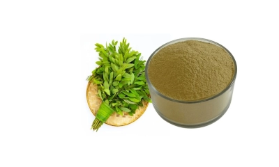 প্রাকৃতিক রেচক সোনাপাতা