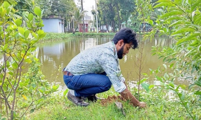 ১২ বছরে ৩৪ হাজার গাছ রোপণ করেছেন শাকির