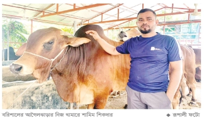 চাকরি ছেড়ে খামার মাসে আয় ৪ লাখ
