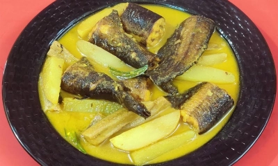 শিং মাছের উপকারিতা