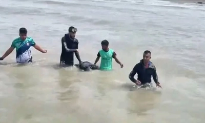 সীতাকুণ্ডে নিখোঁজ কিশোরের মরদেহ উদ্ধার