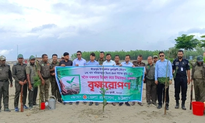 ছবি- সংগৃহীত