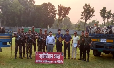 সরাইলে আড়াই কোটি টাকার ভারতীয় মালামালসহ আটক ১