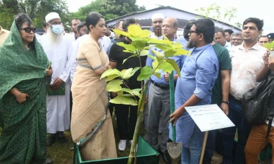 জিরো সয়েল কর্মসূচি বাস্তবায়নে সকলের সহযোগিতা জরুরি : পরিবেশ উপদেষ্টা