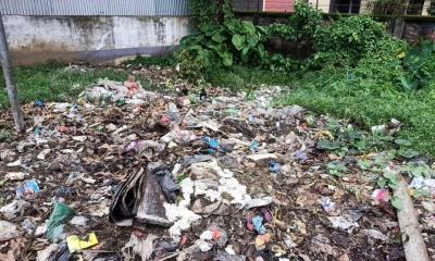 নালিতাবাড়ীতে উন্মুক্ত ভাগাড়, বাড়ছে জনদুর্ভোগ