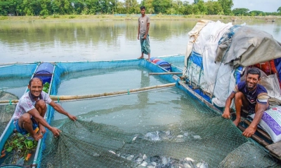 ভাসমান মাছের খামারে বদলে যাচ্ছে উপকূল