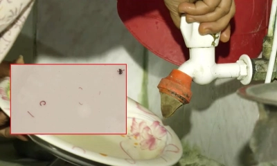 ওয়াসার পানিতে দুর্গন্ধ ও পোকা