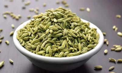 রান্নাঘরের গুপ্তধন জোয়ান, জেনে নিন উপকারিতা