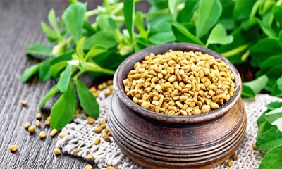 মেথি খাওয়ার উপকারিতা ও অপকারিতা