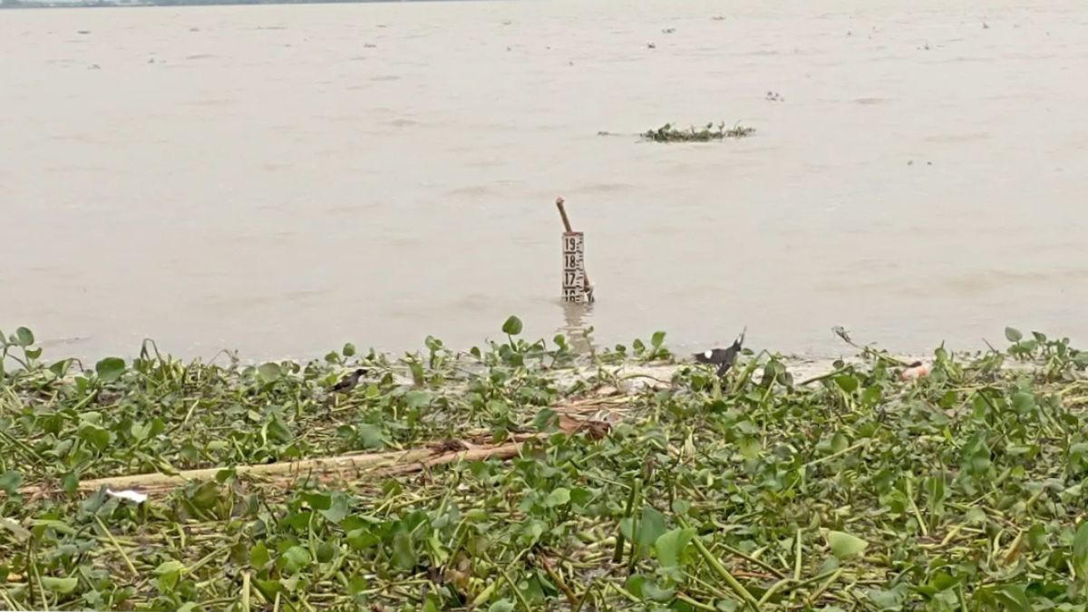 সিরাজগঞ্জের যমুনা নদীর বিভিন্ন পয়েন্টে পানি বাড়ছে। ছবি-রূপালী বাংলাদেশ