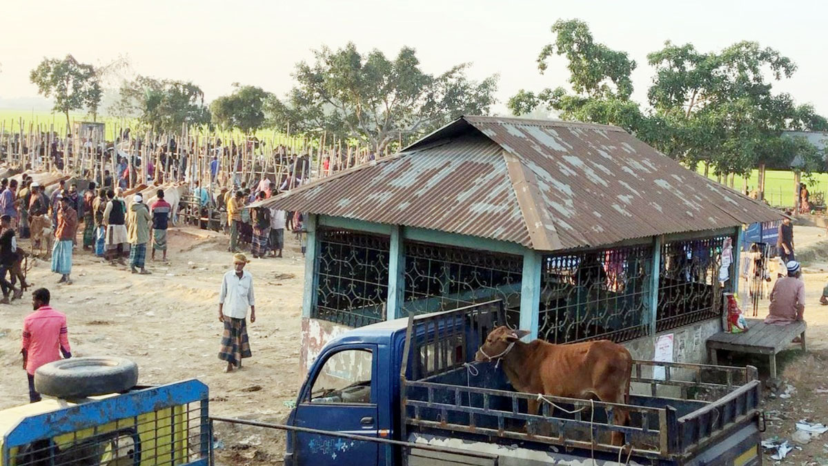 অবৈধ পশুর হাটে মহাসড়কে যানজট