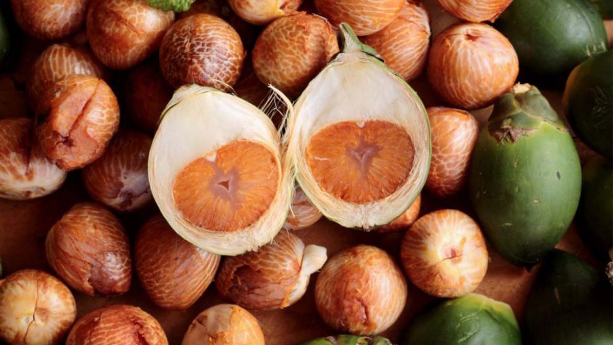রোজ সুপারি খান? জেনে নিন সুপারির আদ্যোপান্ত 