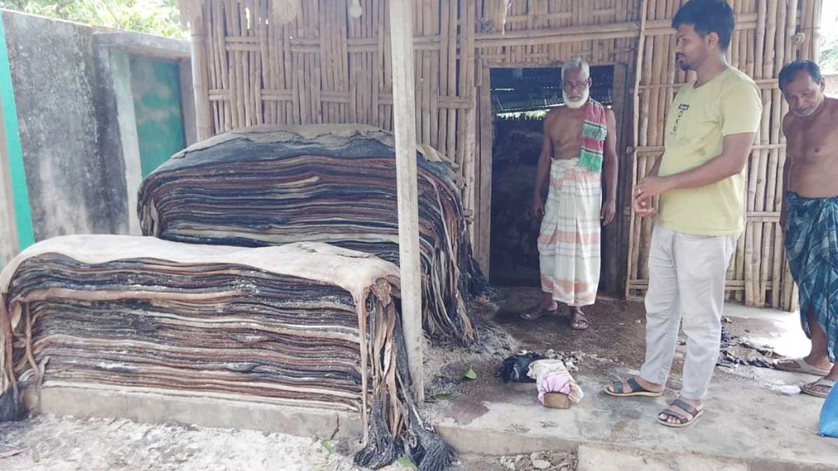 কোরবানির চামড়া কিনে বিপাকে আলী আকবর