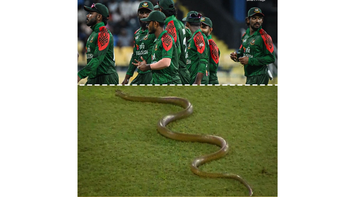 বাংলাদেশ ও শ্রীলংকার মধ্যকার খেলার সময় মাঠে একটি সাপ ডুকে পড়ে। ছবি- সংগৃহীত