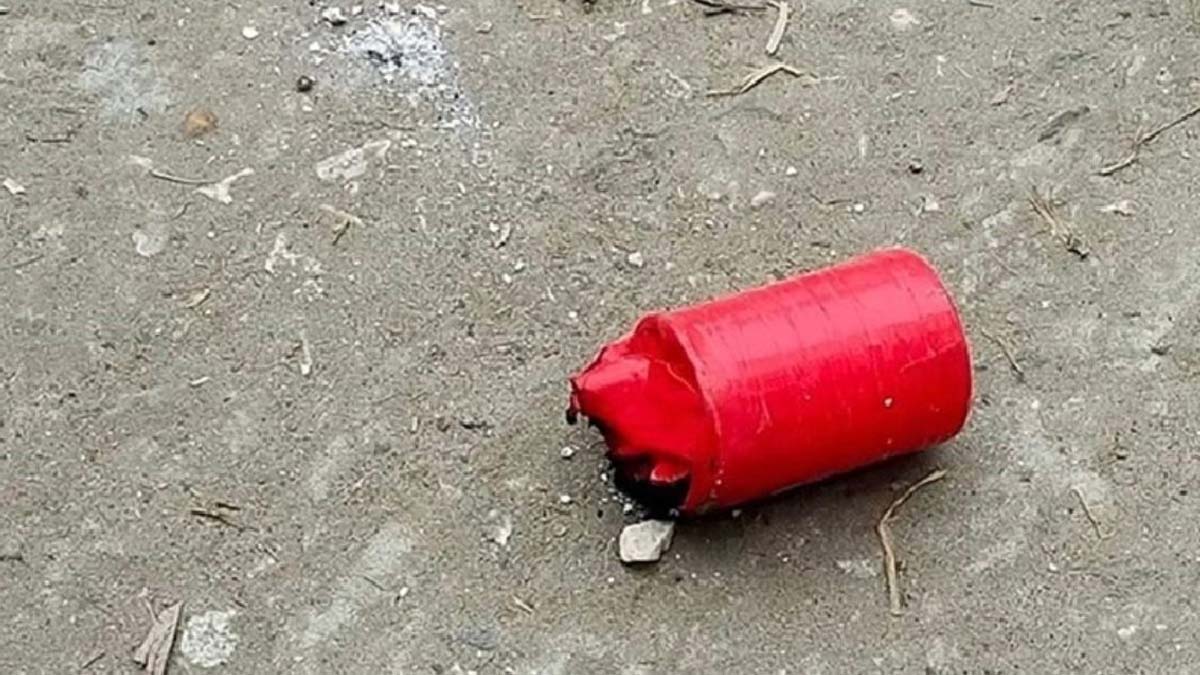 ফাইল ছবি
