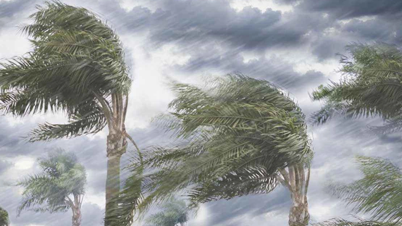প্রতীকী ছবি