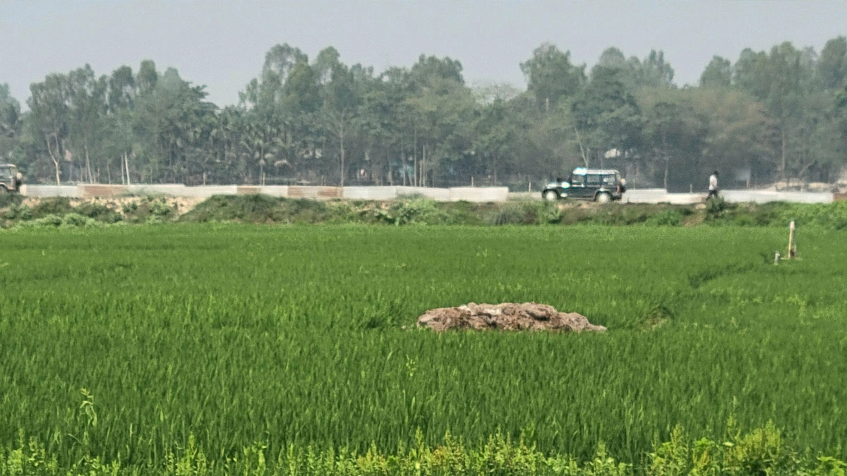 বাংলাদেশি ভেবে বিএসএফের গুলি, ভারতীয় চোরাকারবারির মৃত্যু