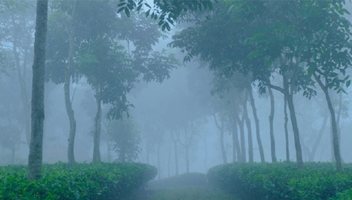 ৮.৯ ডিগ্রিতে কাঁপছে শ্রীমঙ্গল