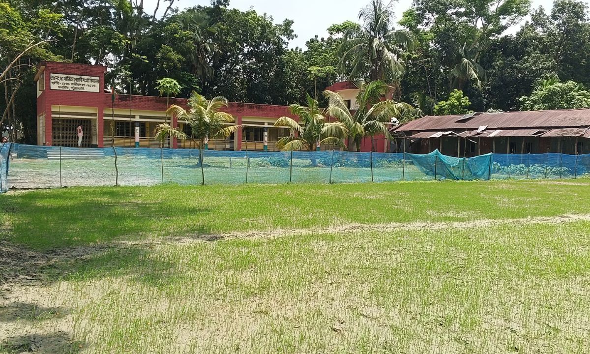 খারিজা বেতাগী সরকারি প্রাথমিক বিদ্যালয়ের মাঠে বীজতলা। ছবি- রূপালী বাংলাদেশ
