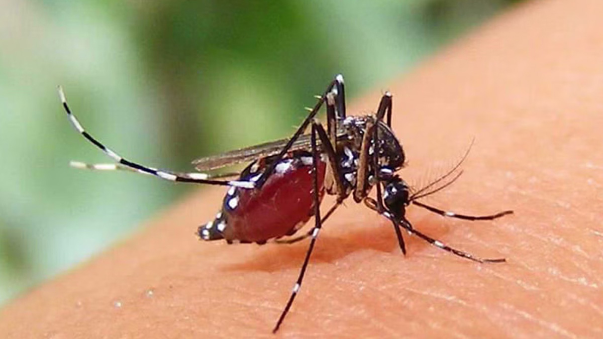 প্রতীকী ছবি
