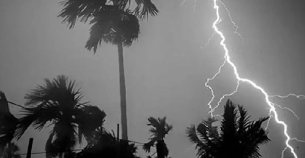 ছবি- সংগৃহীত