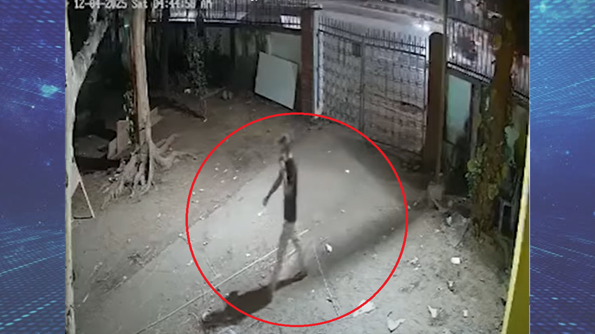 আড়াই মিনিটে হাসিনার মোটিফে আগুন লাগিয়ে চলে যায় যুবক: সিসিটিভি ফুটেজ