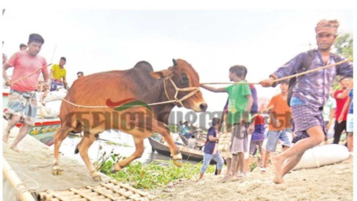 কোরবানীর পশুর হাট। ছবি: রূপালী বাংলাদেশ