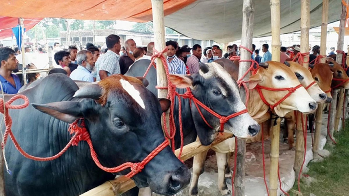 ছবি- সংগৃহীত