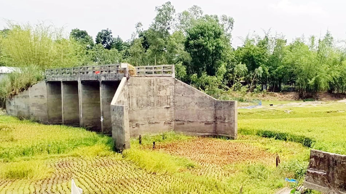 দিনাজপুরে সেতু আছে সংযোগ সড়ক নেই, দুর্ভোগে ১০ গ্রামবাসী