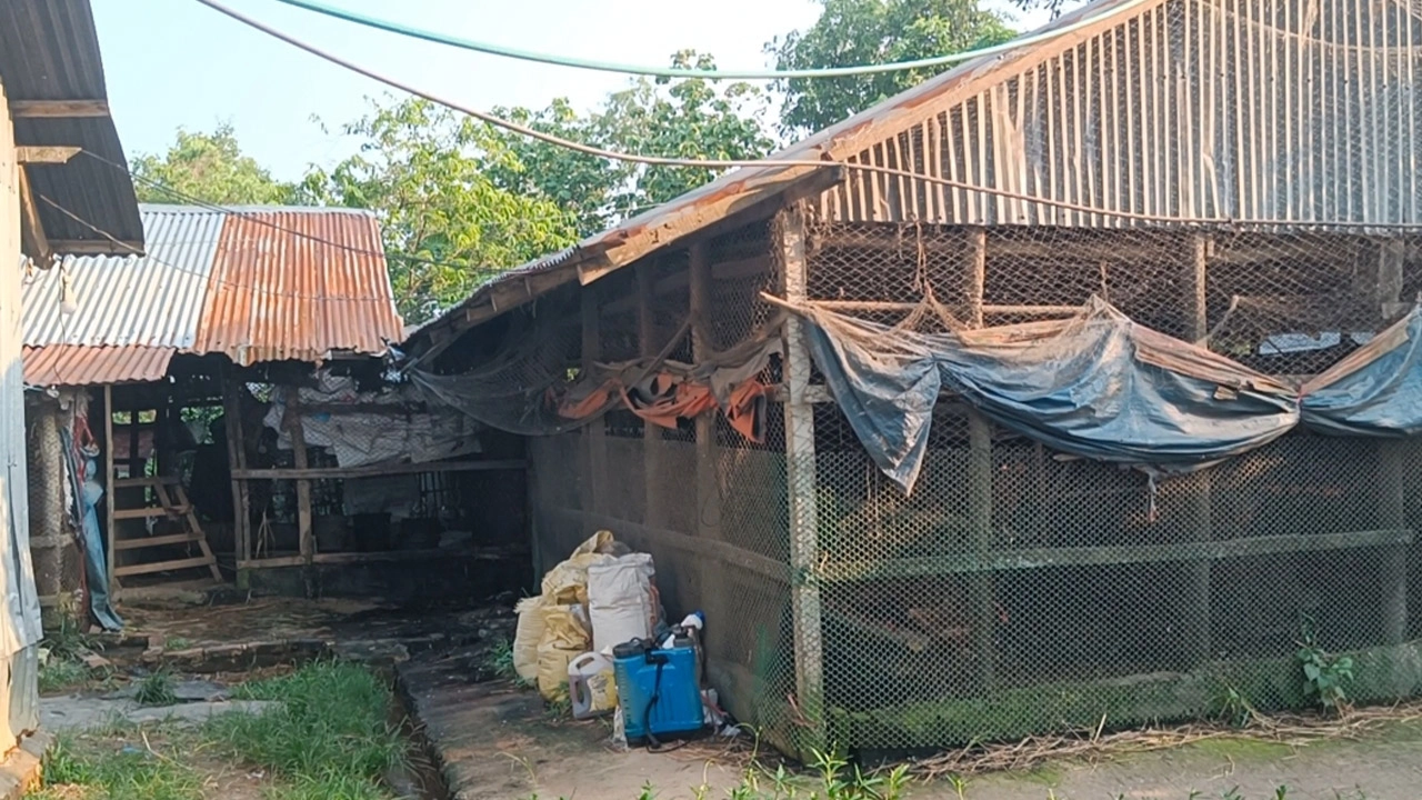 ছবি- রূপালী বাংলাদেশ