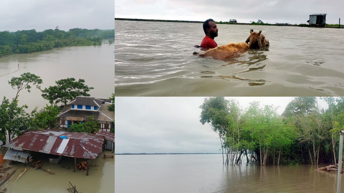 জোয়ারের পানিতে চরম ভোগান্তিতে পড়েছেন উপকূলীয় এলাকার মানুষ। ছবি- সংগৃহীত