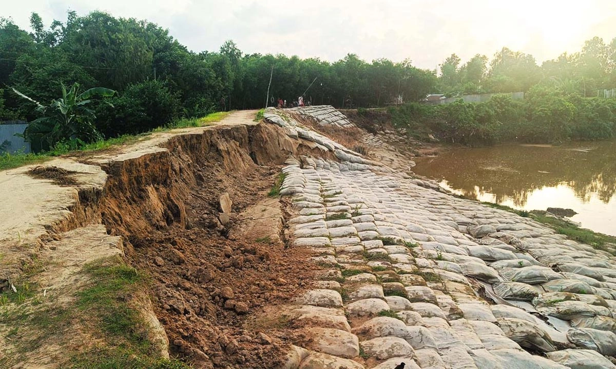 হালদা নদীর বাঁধে ফের বড় ধরনের ফাটল। ছবি- রূপালী বাংলাদেশ