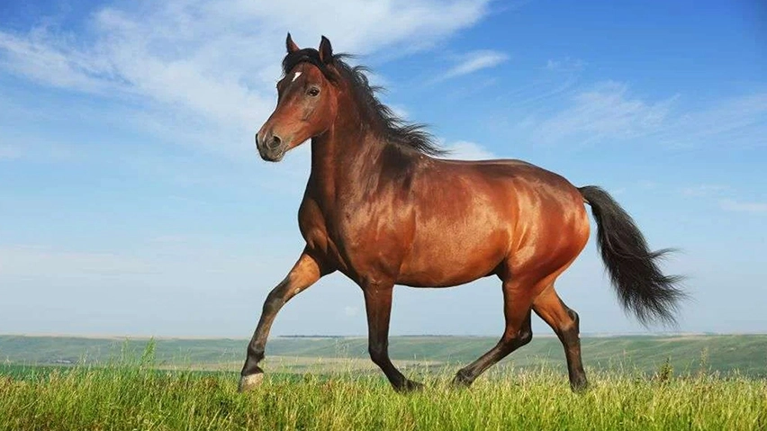 ছবি- সংগৃহীত